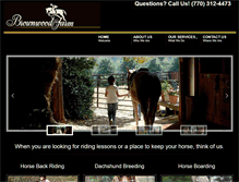 Tablet Screenshot of horsebackridingalpharetta.com